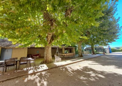 Espace extérieur ombragé par les grands platanes