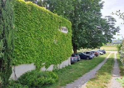 Allée et stationnement le long du bâtiment couvert de lierre